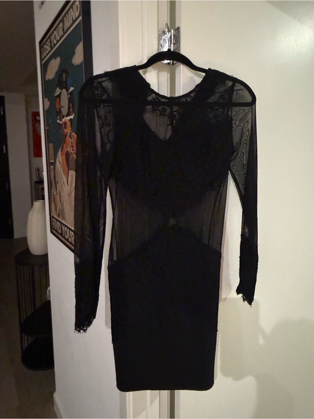Black Lace Sheer Long-Sleeve Bodycon Dress by